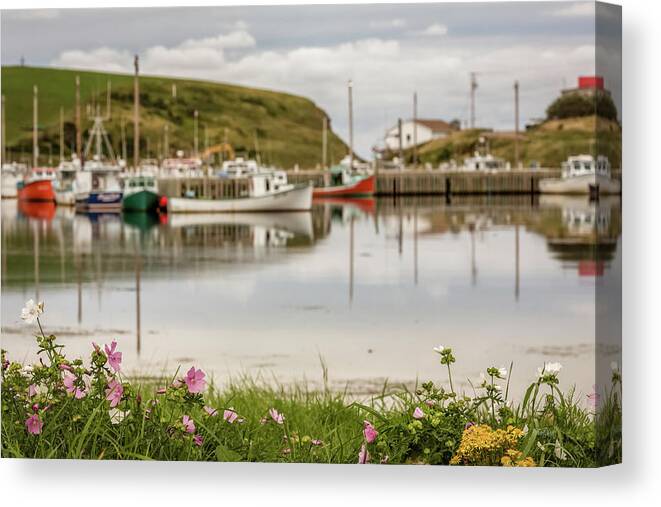 Nova Scotia Canvas Print featuring the photograph Wildflowers of Deadmans Pond by Everet Regal