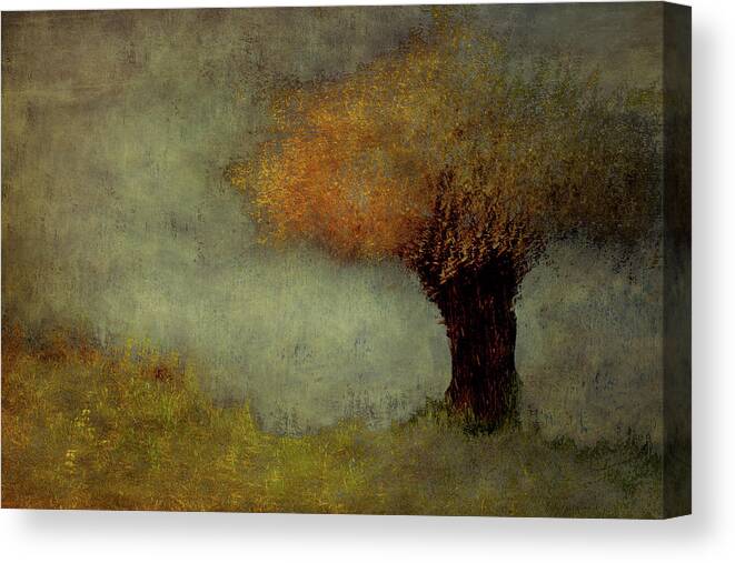Willow Canvas Print featuring the photograph Willow by Nel Talen