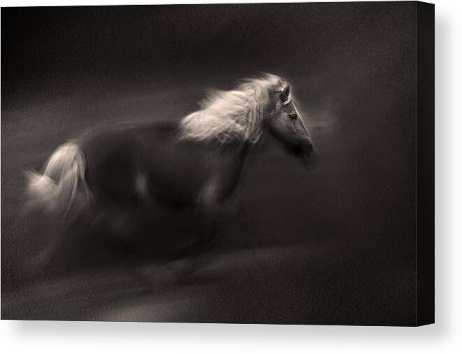 Horse Canvas Print featuring the photograph Wind And Earth Power by Martine Benezech