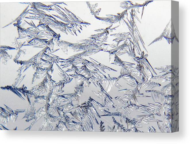 Winter Canvas Print featuring the photograph Ice Crystals 7 by Ira Marcus
