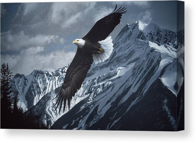 An Eagle Soaring Over The Snow Covered Mtns Canvas Print featuring the painting Wings Over Winter by Ron Parker