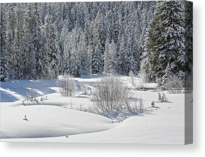 Yellowstone National Park Canvas Print featuring the photograph Winter At Warm Creek by Ann Skelton