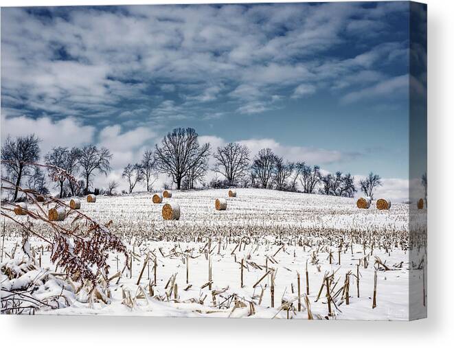 Corn Snow Weed Trees Farm Stubble Hay Field Farming Agriculture Winter Frozen Landscape Sky Serene Peaceful Cold Stoughton Wi Dane County Wisconsin Land Canvas Print featuring the photograph Winter Blues and Bales - snow covered corn stubble and bales near Stoughton WI by Peter Herman