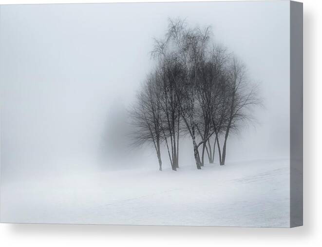 Winter Canvas Print featuring the photograph Winter Dream by Bill Wakeley