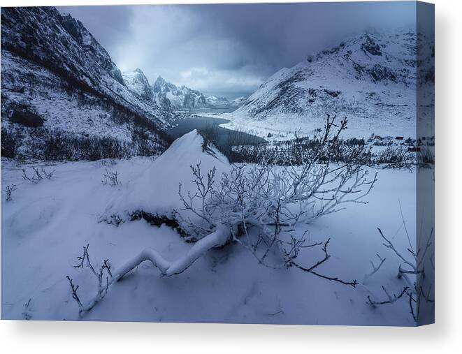 Lofoten Canvas Print featuring the photograph Winter Is Coming by David Martn Castn