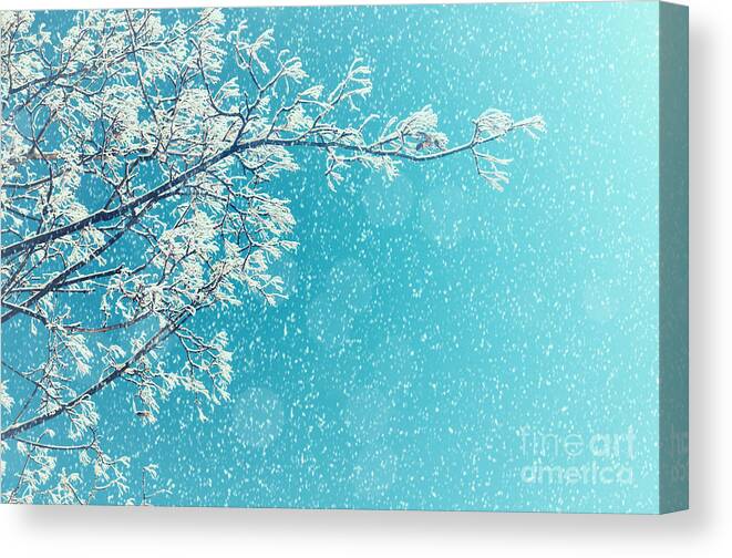 Magic Canvas Print featuring the photograph Winter Landscape Of Snowy Tree Branches by Marina Zezelina