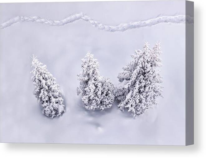 Scenics Canvas Print featuring the photograph Winter Path by Borchee