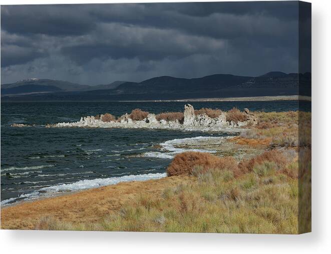 Mono Lake Canvas Print featuring the photograph Winter Storm at Navy Beach by Kathleen Bishop