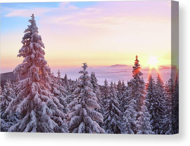 Scenics Canvas Print featuring the photograph Winter Sunrise by Borchee