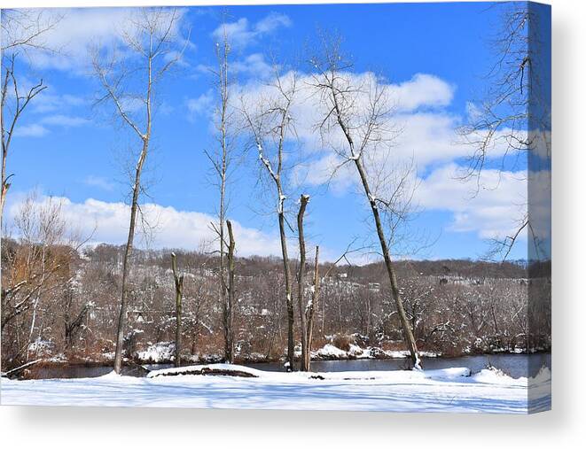 Derby Canvas Print featuring the photograph Winter Trees Against the Sky by Nina Kindred