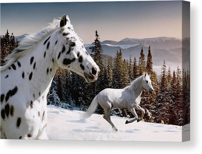 Snow Canvas Print featuring the photograph Winter Wonderland by Laura Palazzolo