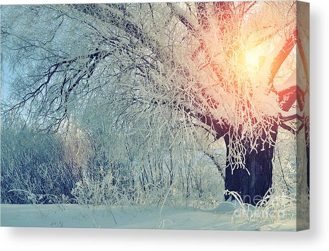 Forest Canvas Print featuring the photograph Winter Wonderland Picturesque Landscape by Marina Zezelina