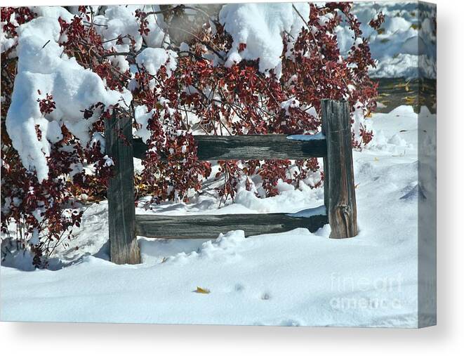 Snow Canvas Print featuring the photograph Wintery Fall by Ann E Robson