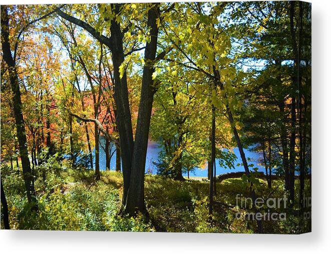 Trees Canvas Print featuring the photograph With Trees and Water by Dani McEvoy