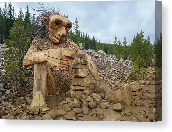 Colorado Canvas Print featuring the photograph Wood Man by Dmdcreative Photography
