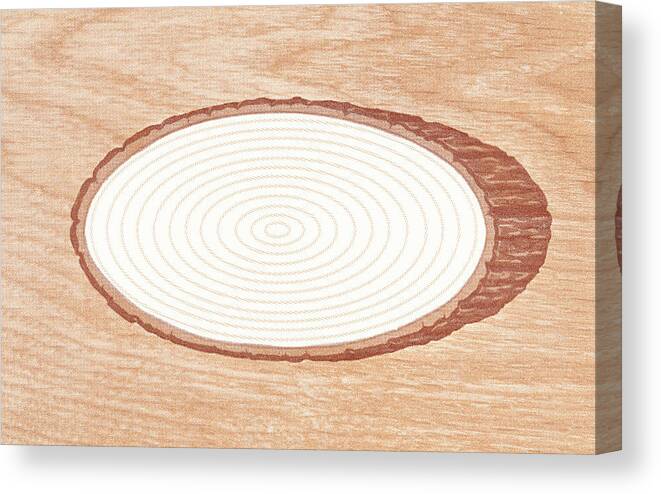 Border Canvas Print featuring the drawing Woodgrain with hole by CSA Images