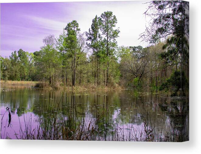  Canvas Print featuring the photograph Woodlands by Rocco Silvestri