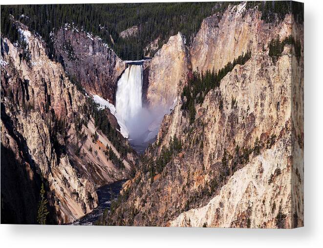 Yellowstone Canvas Print featuring the photograph Yellowstone's Lower Falls 5 by Rick Pisio