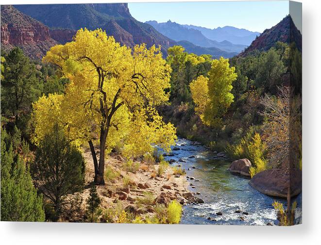 Scenics Canvas Print featuring the photograph Zion National Park Utah by Adventure photo