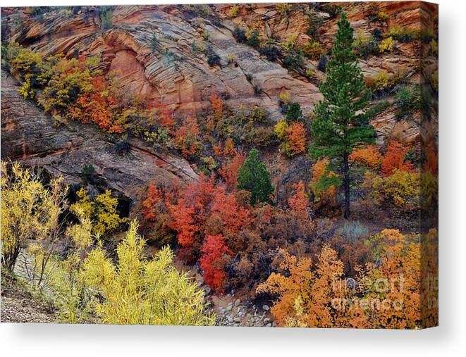 Fall Colors Canvas Print featuring the photograph Zion Vibrancy by Janet Marie