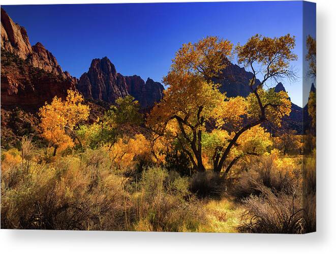 Fall Colors Canvas Print featuring the photograph Zions Beauty by Tassanee Angiolillo