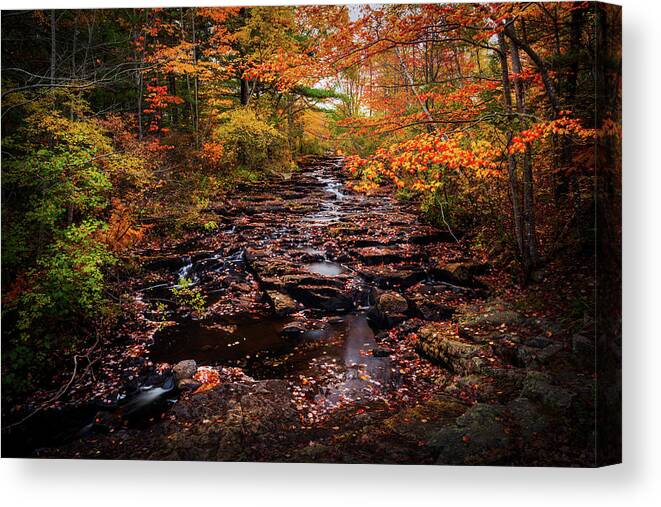 Acadia National Park Canvas Print featuring the photograph Acadia Autumn 34a0765 #1 by Greg Hartford