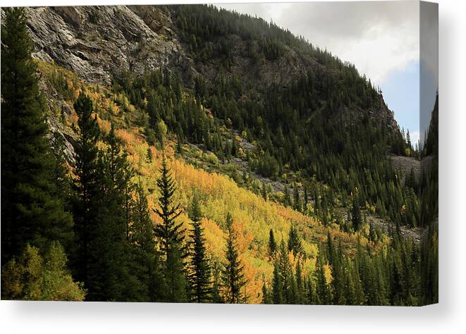 Autumn Colors In The Canadian Rockies Canvas Print featuring the photograph Autumn Colors In The Canadian Rockies #1 by Dan Sproul