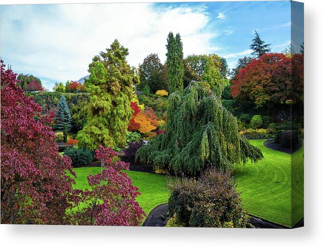 Alex Lyubar Canvas Print featuring the photograph Autumn landscape at Queen Elizabeth Park #1 by Alex Lyubar