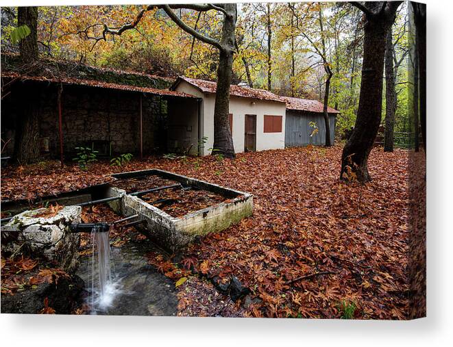 Autumn Canvas Print featuring the photograph Autumn Landscape by Michalakis Ppalis
