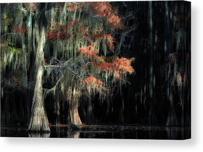  Canvas Print featuring the photograph Caddo Lake State Park - Texas #1 by William Rainey