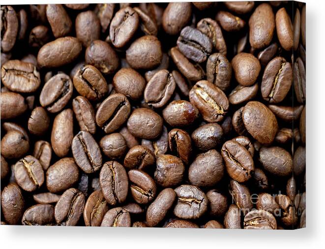 Coffee Canvas Print featuring the photograph Coffee Beans #1 by Vivian Krug Cotton