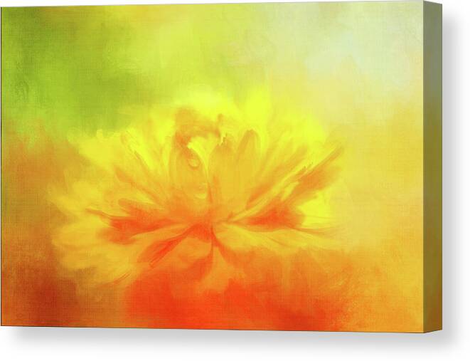 Photography Canvas Print featuring the digital art Daisy Dreaming by Terry Davis