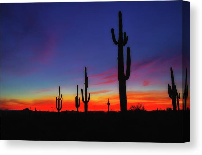 Desert Canvas Print featuring the photograph Desert Sunset #1 by Bob Falcone