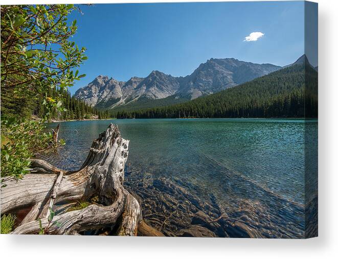 Water Canvas Print featuring the photograph Driftwood at Elbow Lake #1 by Phil And Karen Rispin