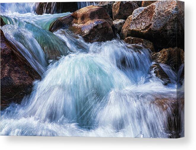 Artistic Canvas Print featuring the photograph Drink Deep by Rick Furmanek