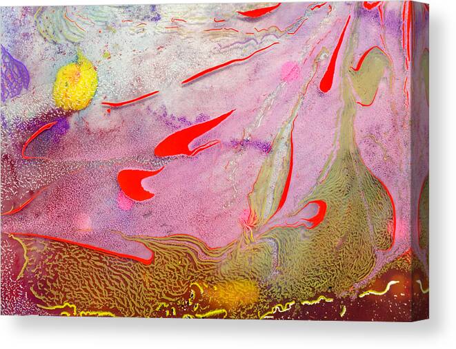 Oil Painting Canvas Print featuring the photograph Ebru pattern #1 by Liyao Xie