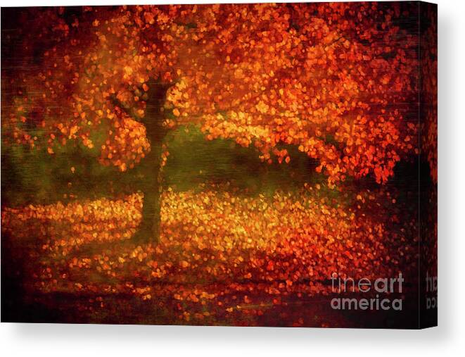 Fall Canvas Print featuring the photograph Falling #1 by Cathy Donohoue