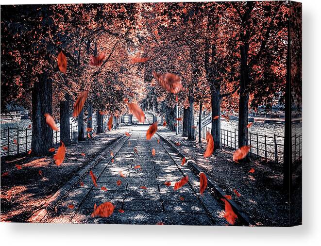 Autumn Canvas Print featuring the photograph Falling Leaves #1 by Manjik Pictures