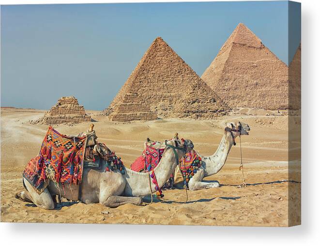 Africa Canvas Print featuring the photograph Giza Plateau #1 by Manjik Pictures