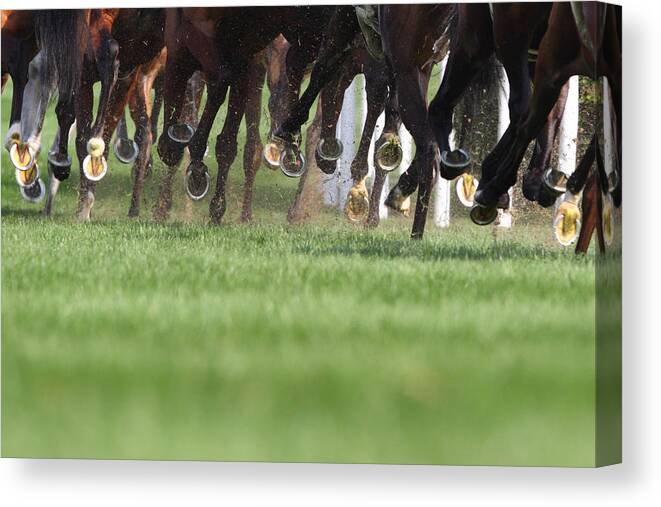 Horse Canvas Print featuring the photograph Horse Running #1 by Winhorse