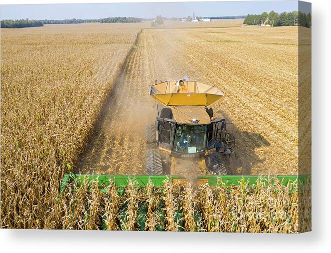 Farm Canvas Print featuring the photograph Ohio Corn Harvest by Jim West