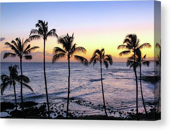 Hawaii Canvas Print featuring the photograph Poipu Palms at Sunset by Robert Carter