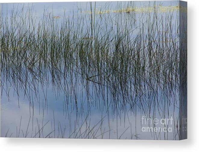 Pond Canvas Print featuring the photograph Pond Reflections by Kae Cheatham