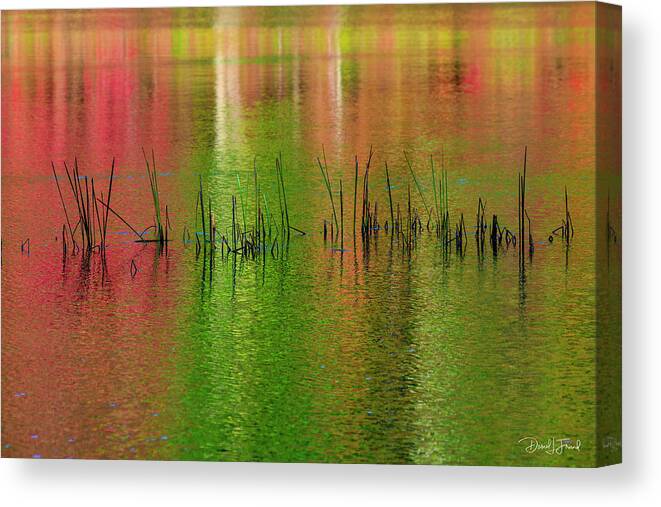Red And Green Canvas Print featuring the photograph Red and Green colors reflection in water #2 by Dan Friend
