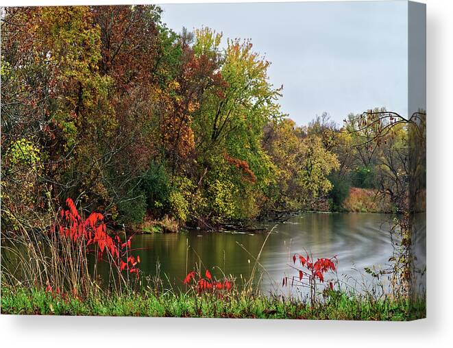 Yahara Canvas Print featuring the photograph Red Sumac at the Bend of The Yahara #1 by Peter Herman