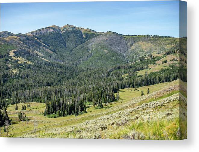 Hiking Canvas Print featuring the photograph scenery at Mt Washburn trail in Yellowstone National Park, Wyomi #1 by Alex Grichenko