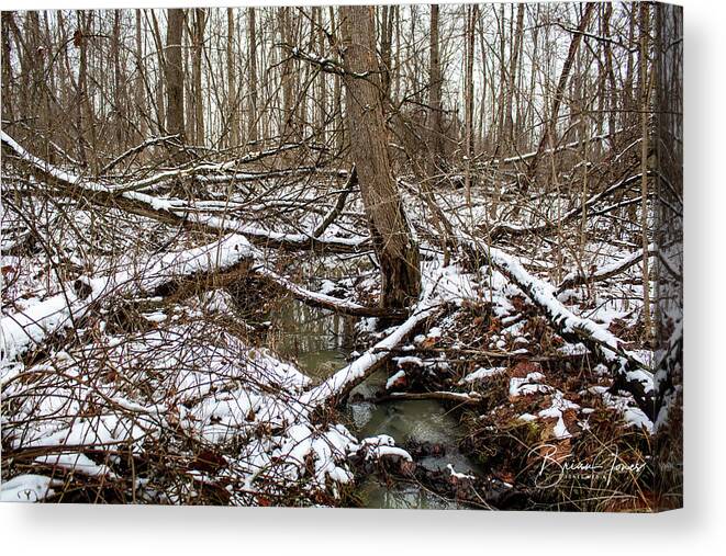  Canvas Print featuring the photograph Snowy Stream #1 by Brian Jones