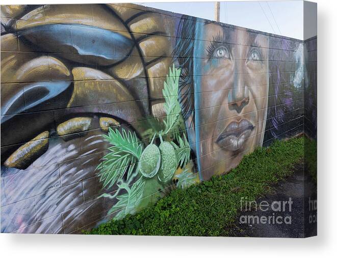 Street Art Canvas Print featuring the photograph Street Art in Paia,Maui #1 by Eva Lechner