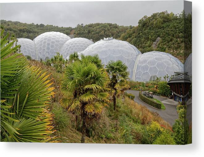 Cornwall Canvas Print featuring the photograph The Eden Project #1 by Shirley Mitchell