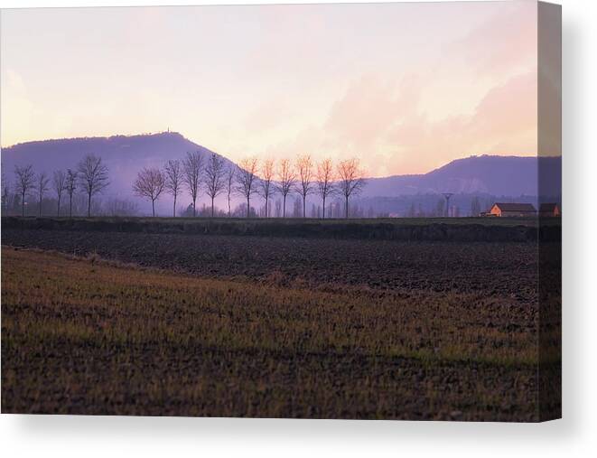 Agriculture Canvas Print featuring the photograph The mist settles in the valley after sunset by Jordi Carrio Jamila